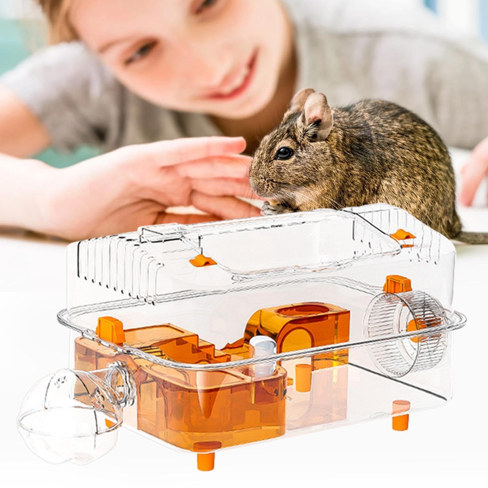 Gabbia per Criceti Con Bottiglia d'Acqua e Giocattoli Trasparenti | Box per Lettiera e Habitat per Topi per Piccoli Animali Domestici come Criceti Nani, Topi Siriani e Coniglietti, per Casa, ,