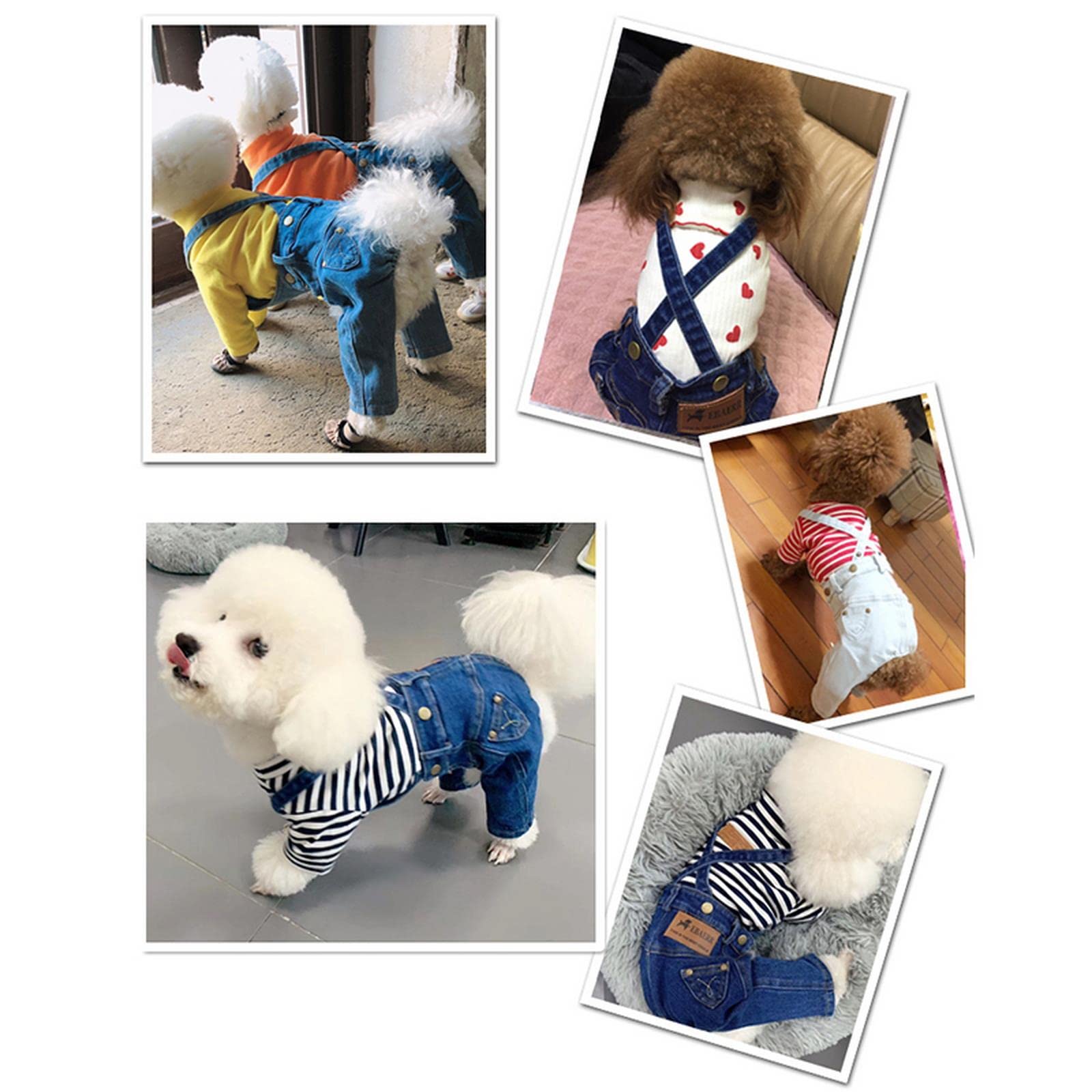 Ubrania dla psów denim pies kombinezon ubrania dla zwierząt domowych dla psów płaszcz kurtka dżinsy pies ubrania buldog odzież dla małych psów chihuahua yorkshire - biały, S