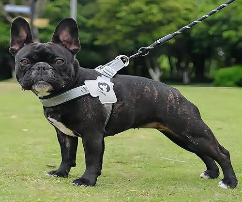 Miniatura 6 de Arnés para perro sin tirones, juego de arnés para perro con correa ajustable, reflectante, de fácil control, para perro mediano y grande con una