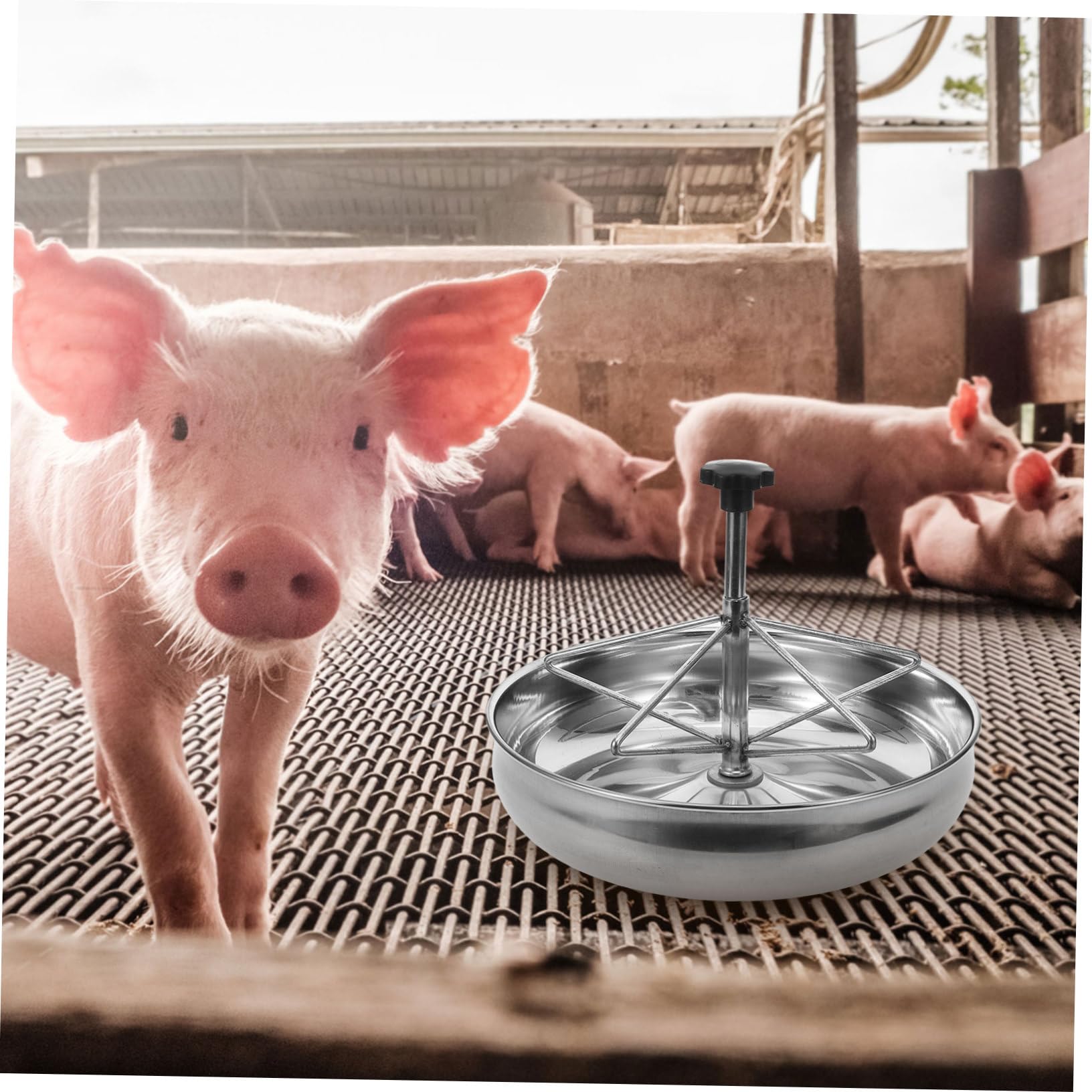 UKCOCO Mangiatoia Per Maiali in Acciaio Resistente Mangiatoia Ad Alta Capacità Per Recinti Per Allevamenti Contenitore Per Alimentazione Facile Da Pulire