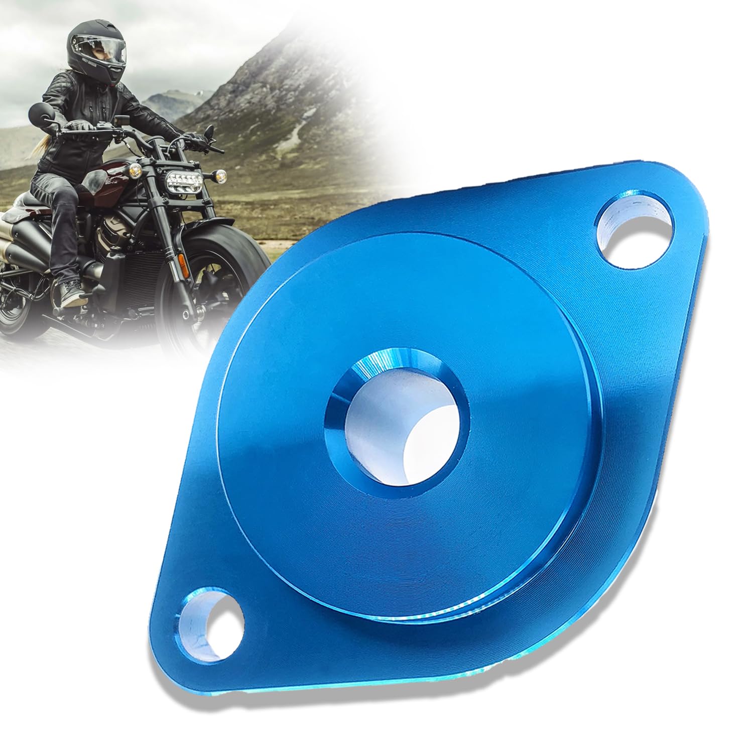 BIGLKNM Blue Gasket Seal Installer Tool Compatible with Big Twin Touring Sportster 883 Softail Dyna Fatboy Road King Iron 883