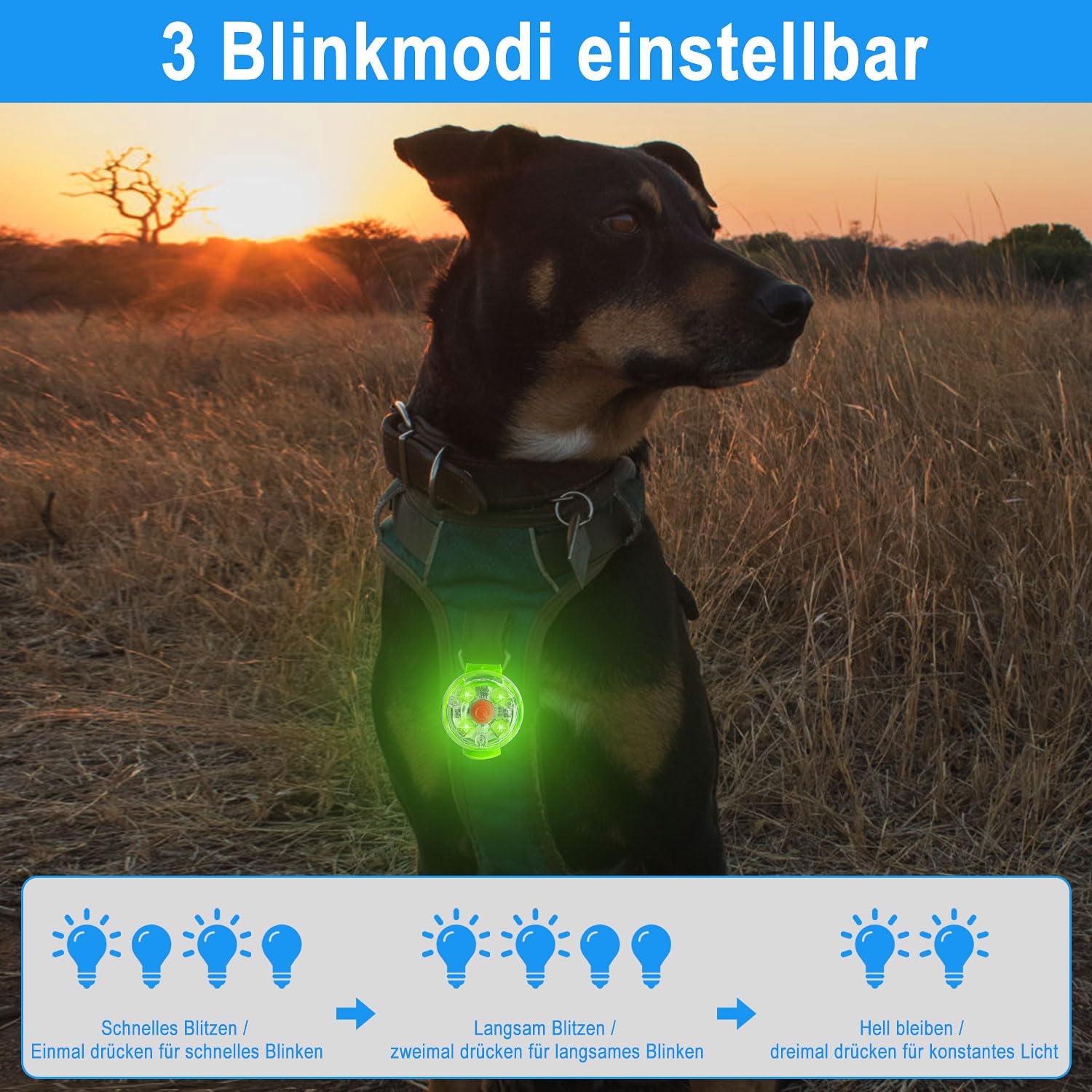 2 luces de seguridad para mascotas, recargable por USB, luz LED intermitente para perros, gatos, 3 modos de parpadeo, impermeable, seguridad para mascotas
