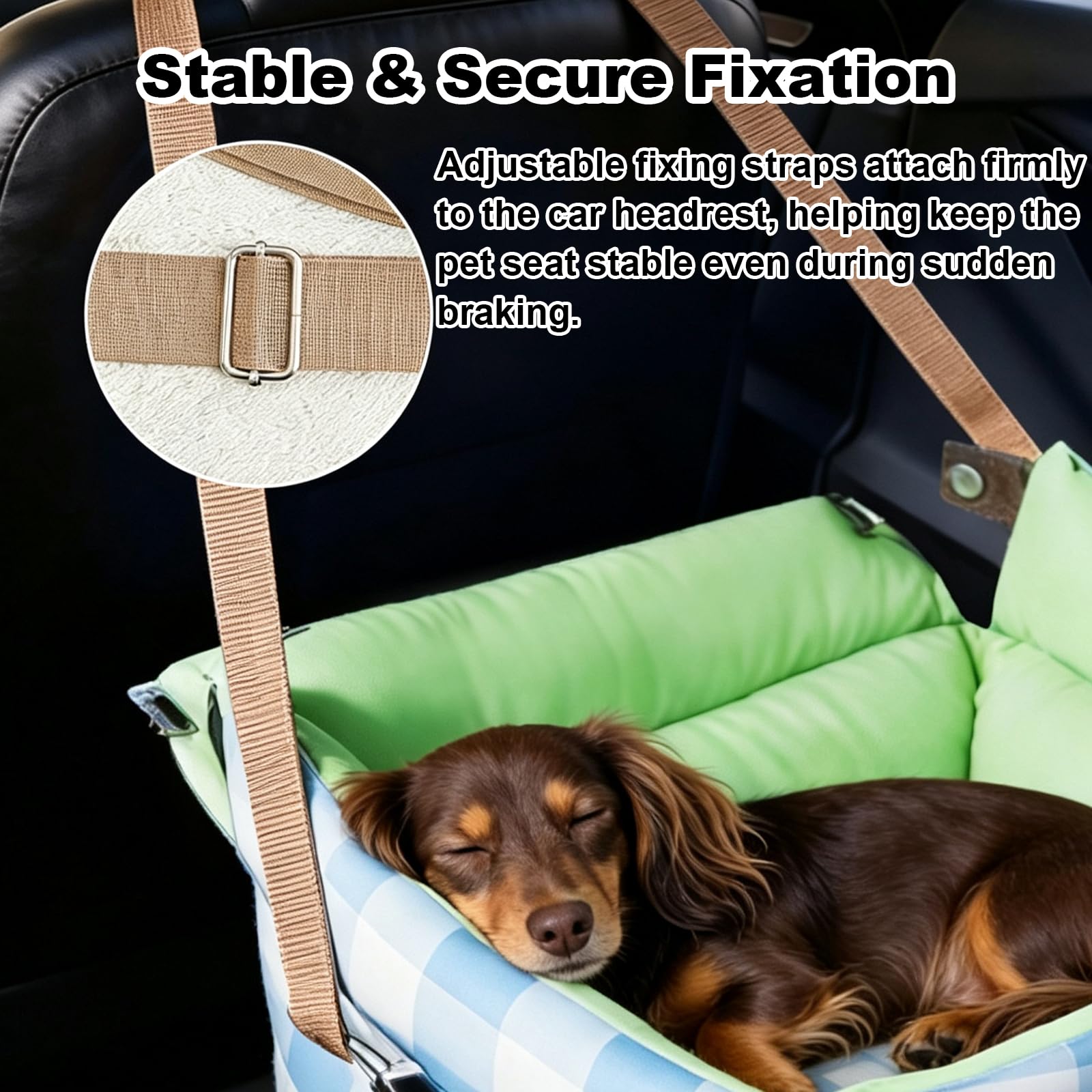 Trasportino da viaggio portatile per animali con guinzaglio di sicurezza