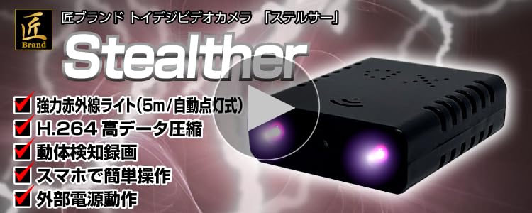 Amazon.co.jp: 匠ブランド トイデジビデオカメラ 超小型 トイ
