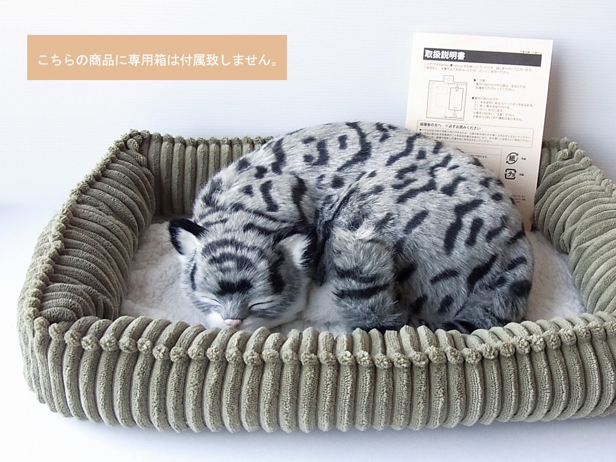 Amazon.co.jp: ニニアンドキノ パーフェクトペット (大サイズ