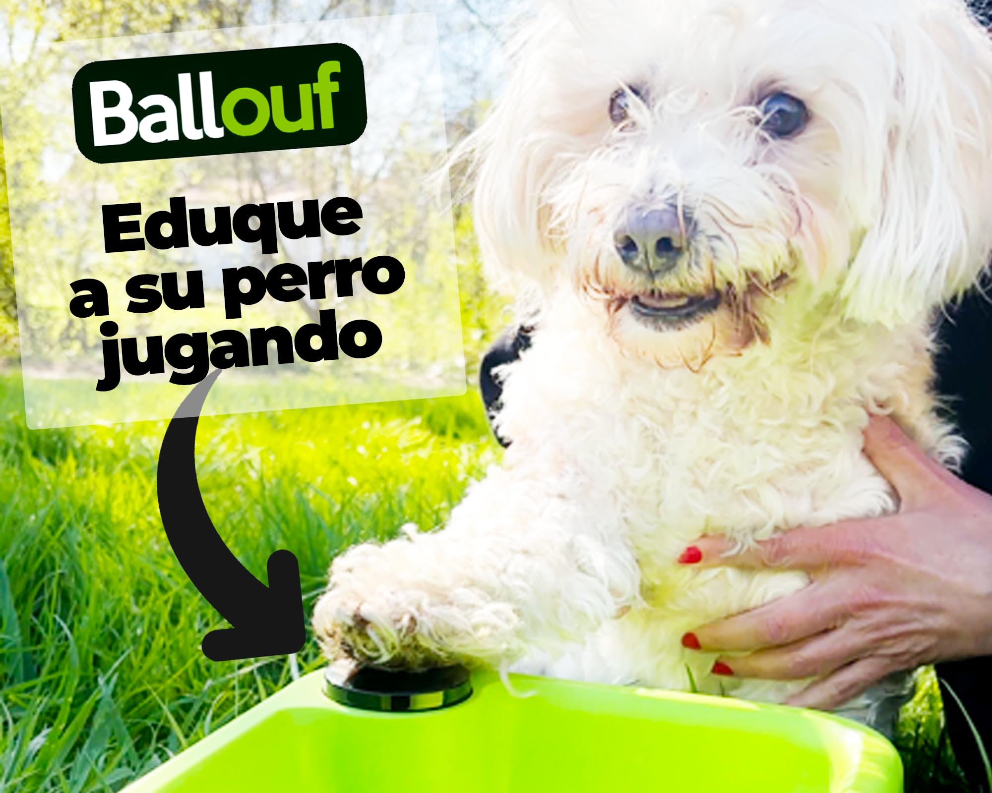 Climsom Ballouf – Lanzador Automático Inteligente de Pelotas para Perros | Modo Automático y Educativo/Manual | Sonido Realista de Ladrido | Distancias Ajustables | Batería Recargable | Modo Automático y Educativo/Manual, Sonido de Ladrido Realista, Dista