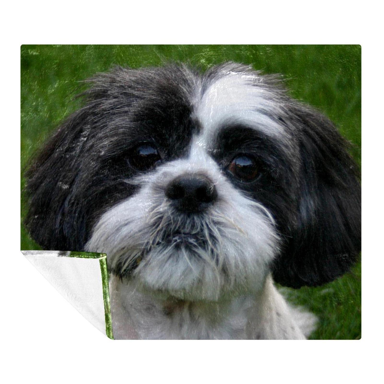 Couverture polaire super douce pour chien Shih Tzu Chiot