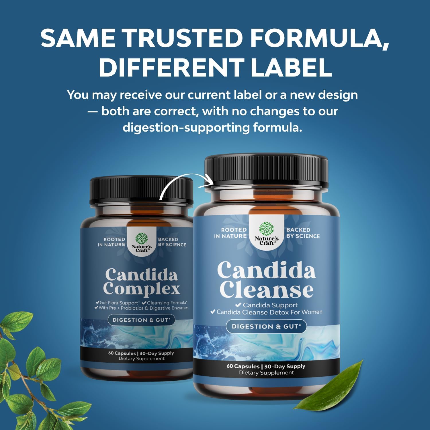 Candida Cleanse Detox for Women - Anti Overgrowth Gut Detox for Women with Caprylic Acid Black Walnut Wormwood and Oregano - Full Body Cleanse with Prebiotics & Probiotics - 30 Days of Supply - Image 4