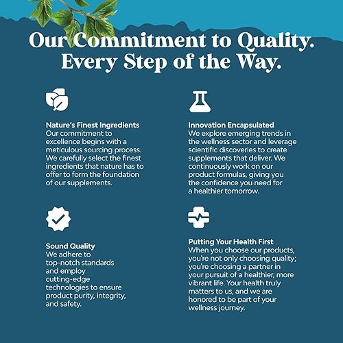 Miniatura 6 de Suplemento cerebral nootrópico para apoyo de memoria y enfoque, vitaminas para apoyo mental y claridad con Bacopa Monnieri, VIT A, B6, riboflavina,