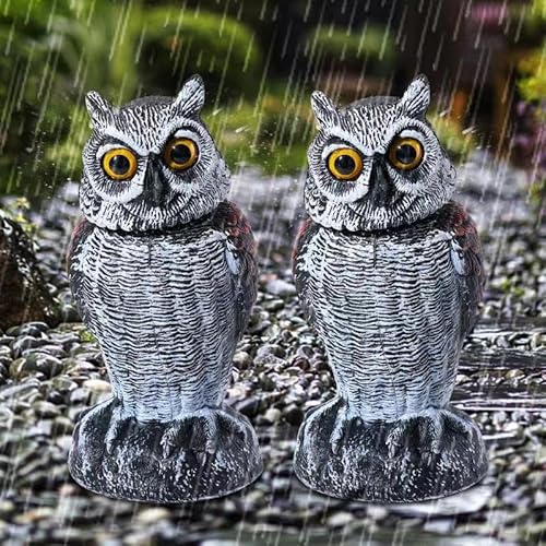 Kky Fake Owl Sculpture Latest 2Pc, Revolving Head Plastic Owl For Outdoor Garden. #TOP3
