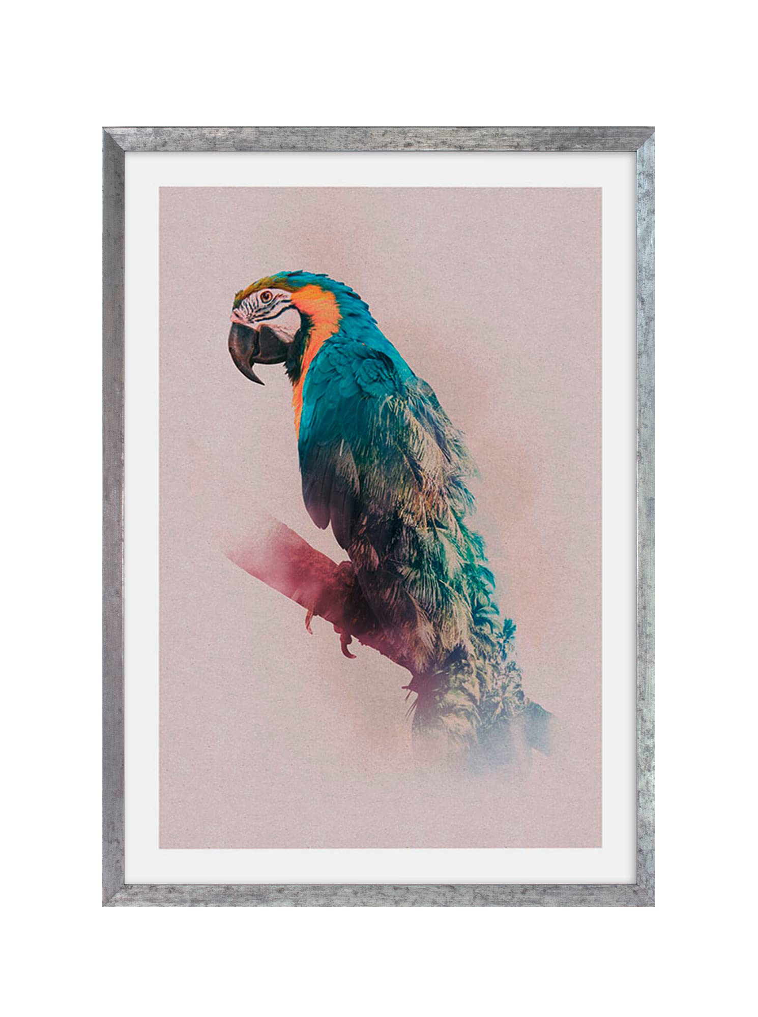 Cadre photo en bois de qualité Komar oiseau de paradis élégant 50x70 cm