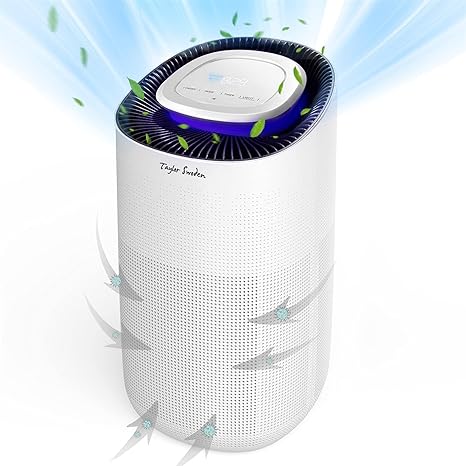 Best air purifier for 500 square feet Clearance