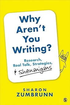 Why Aren’t You Writing?: Research, Real Talk, Strategies, & Shenanigans-Wow! eBook