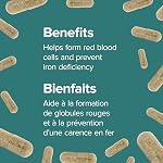 Webber Naturals Supplément de fer doux 28 mg, forme de fer hautement biodisponible, 150 gélules, amical pour l'estomac, non constipant, aide à prévenir l'anémie ferriprive
