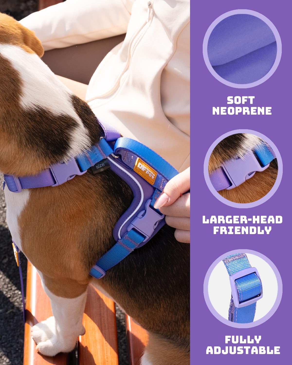 DF Freedom - Arnés para perro Martingala sin tirones, control de seguridad para dejar de tirar, reflectante y ajustable en 5 puntos, mango acolchado para un fácil apoyo, Rainbow Pro, 5/8 pulgadas,