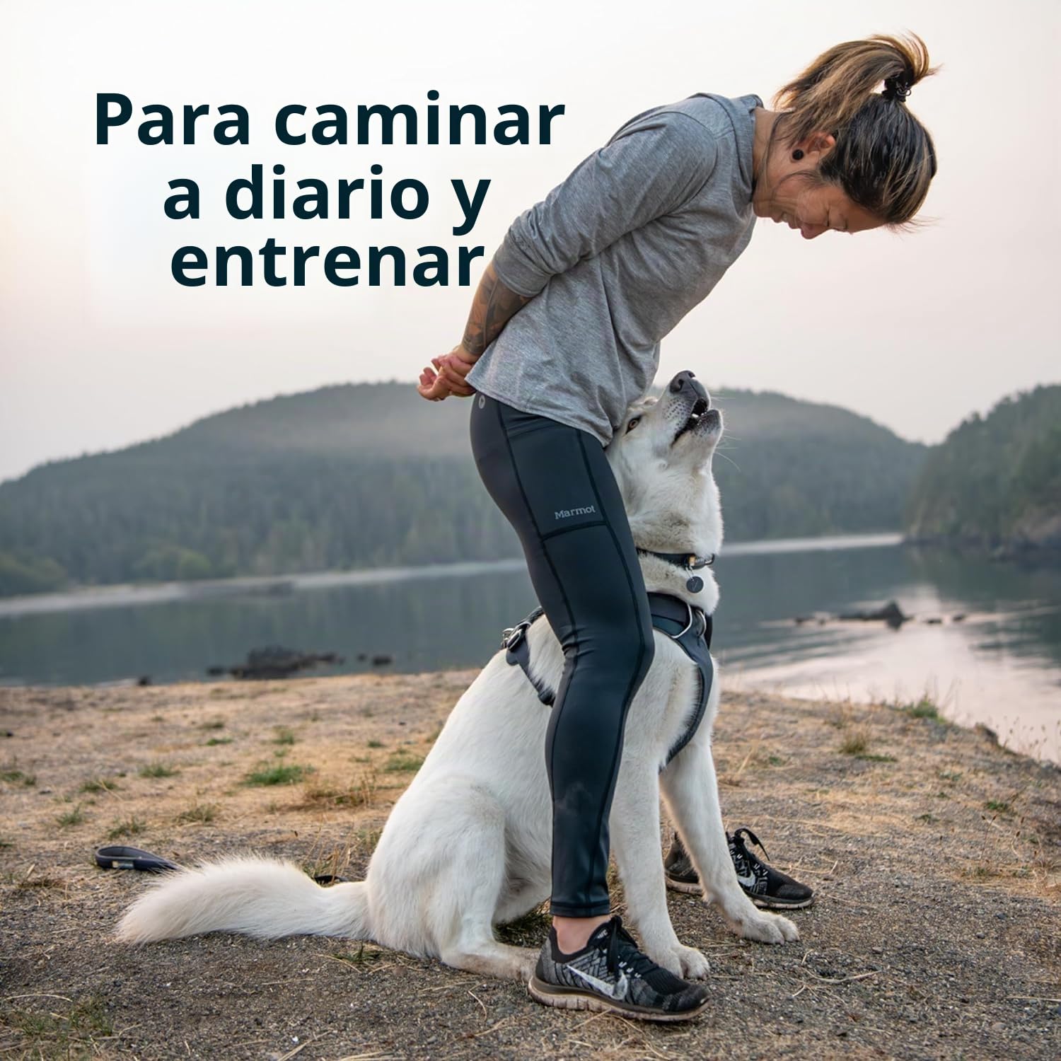RUFFWEAR Front Range - Arnés para Perros pequeños, arnés Reflectante en Y, Ajustable, cómodo y Acolchado, arnés para pasear al Perro, sin tirones, 2 Accesorios de Correa y Anillo en V, Talla S, Gris