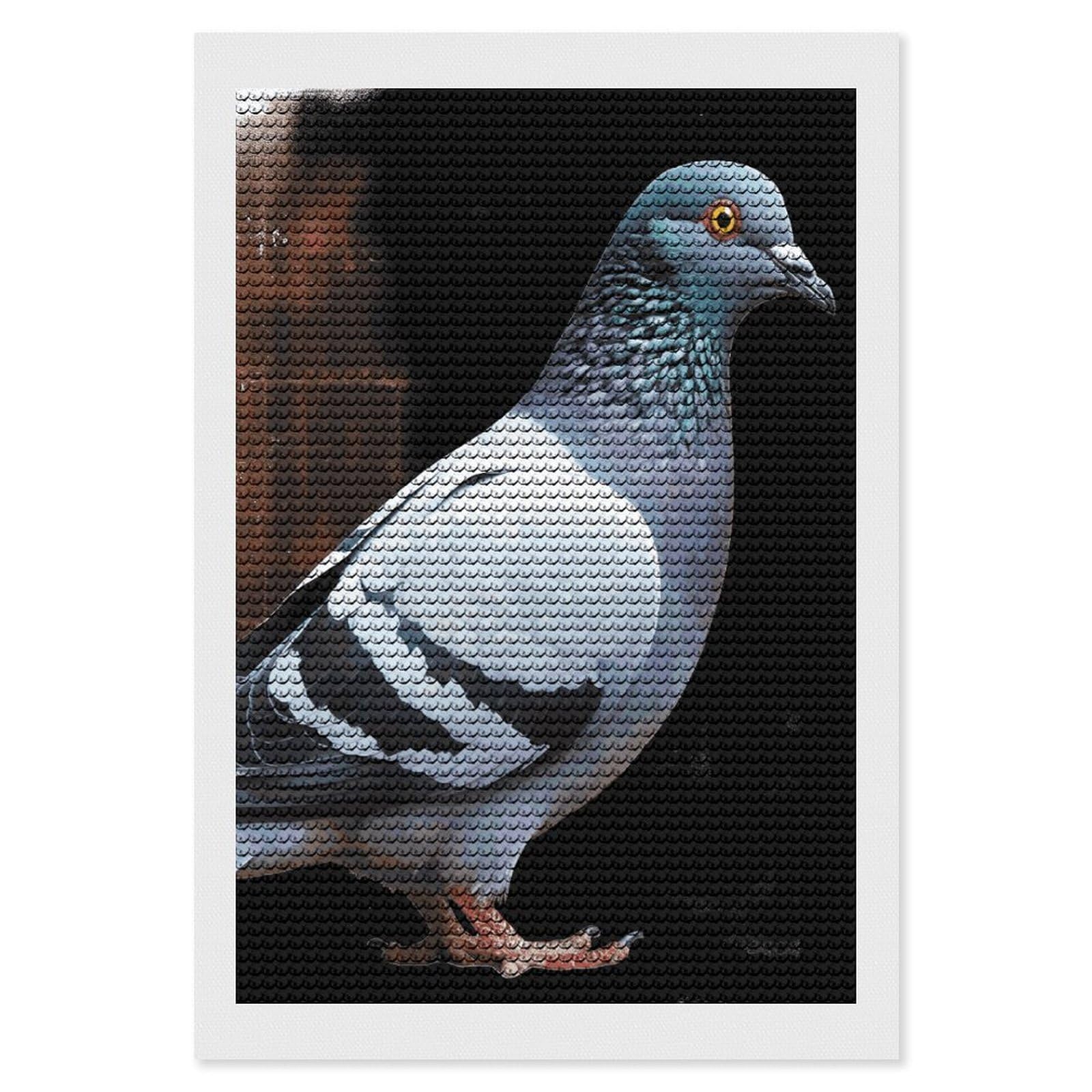 FodPand Pigeon 5D Diamond Painting Kits for Adults Beginners Full Drill Round Diamond Dots Pictures Gem Art Supplies for Home Wall Room Decoration DIY Craft Set Gift 8x12