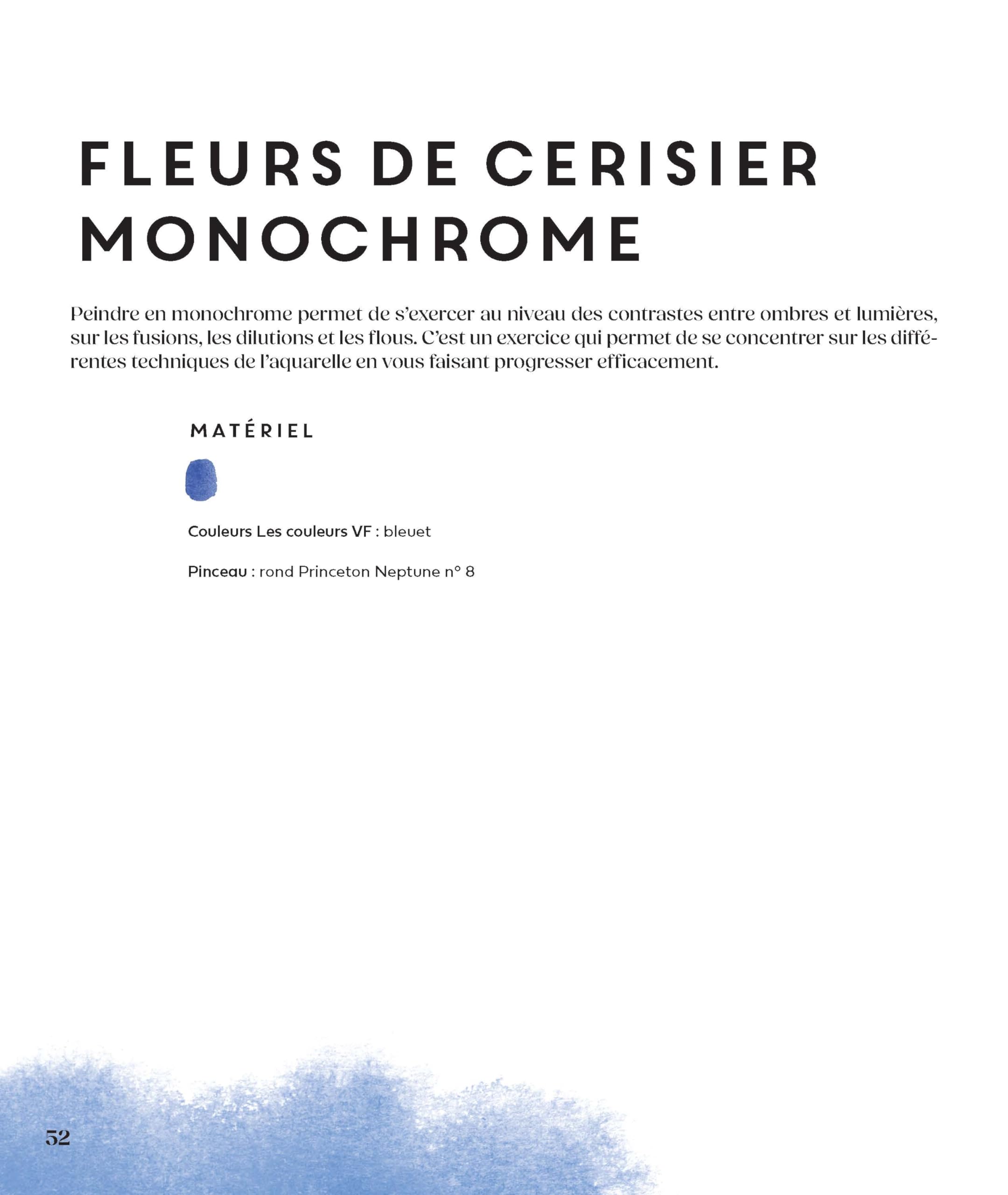 Flous et fleurs à l'aquarelle: Maîtrisez la fusion des couleurs