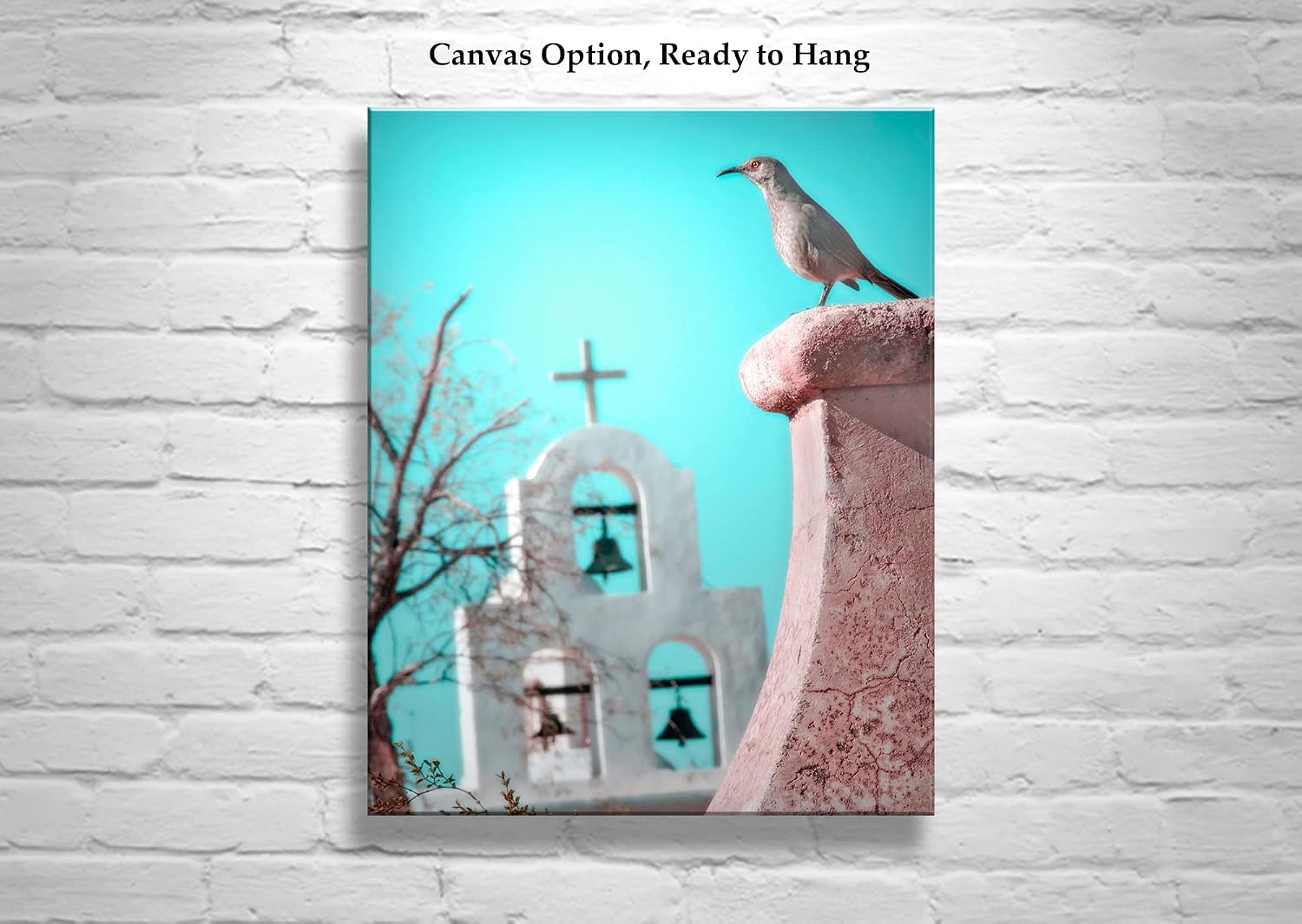 San Xavier Mission Tucson Arizona Photograph with Church Chapel and Bird as Surreal Artwork