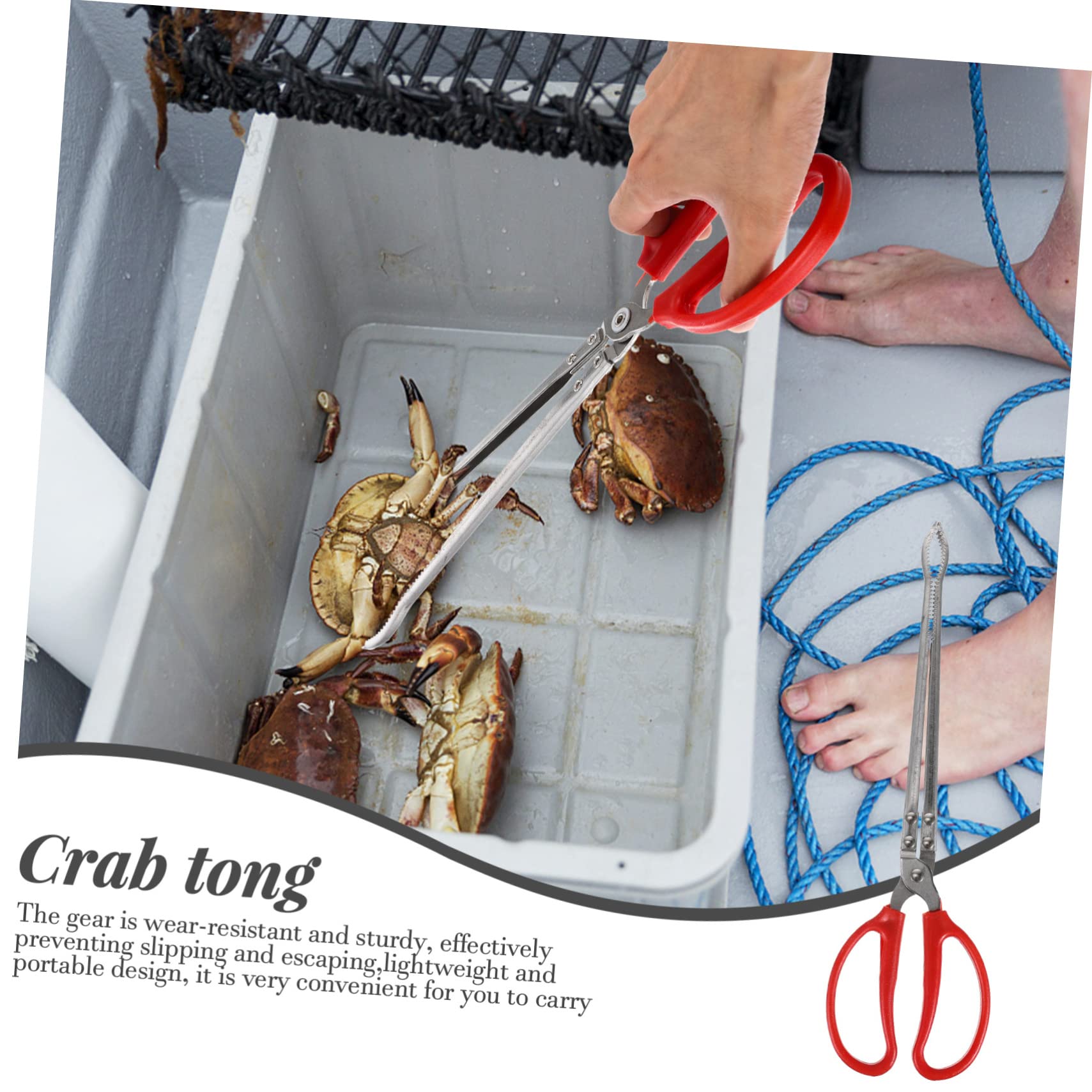 Pince à Crabe en Acier Inoxydable Multifonction Portable