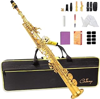 Bb Soprano Saxophone Straight Gold Laquer Sax Instruments for Beginners Students Intermediate Players with Carrying Case,White Gloves.Cleaning kit.neck Strap.Mouthpiece (golden)