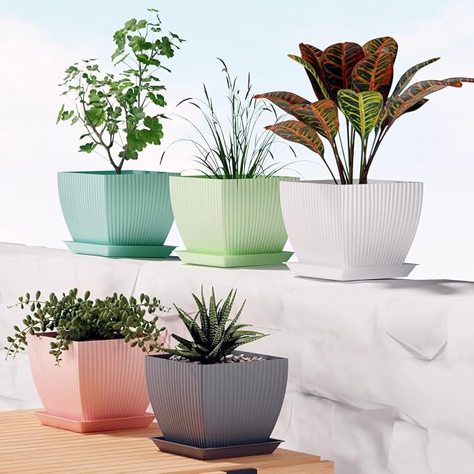 Kemendra® 6 inch Plant Pots with Drainage Holes and Tray Saucers 5 Pack