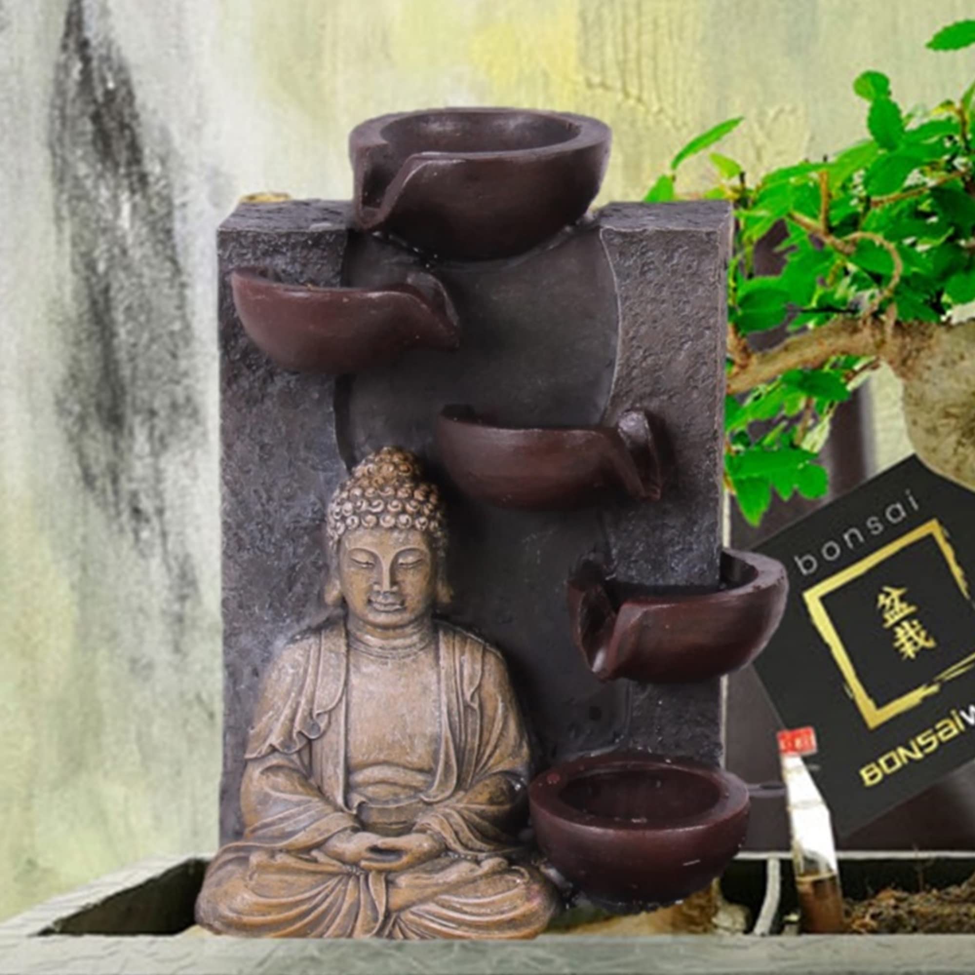 Vdvelde․com - Echter Bonsai Baum Set ca. 30 cm - Keramik Topf, Schere & Pflege Set - Buddha Zimmerbrunnen - Zen Tischbrunnen - Komplettset Zimmerpflanze