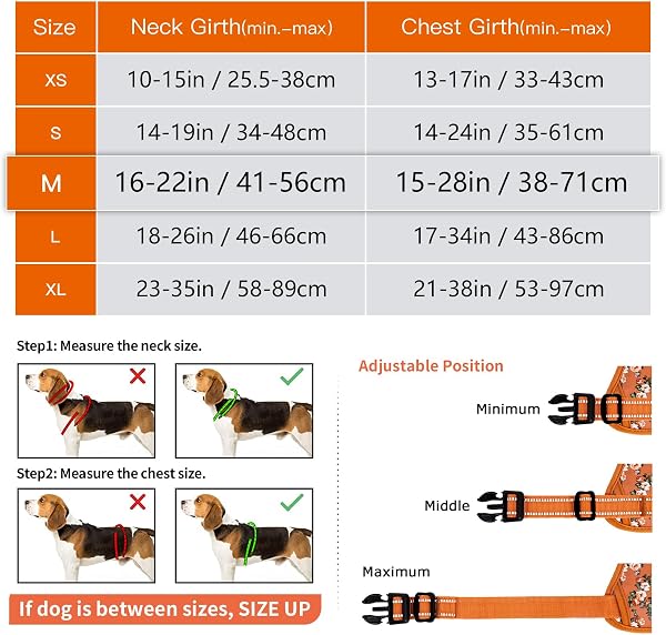 HEELE Harnais Chien, Harnais Chien Anti Traction, Réfléchissant, avec Poignée Rembourrée Contrôl, 2 Anneaux Métal, Harnais pour Petit Moyen et Grand Chien, Fleur-Orange, M - 3