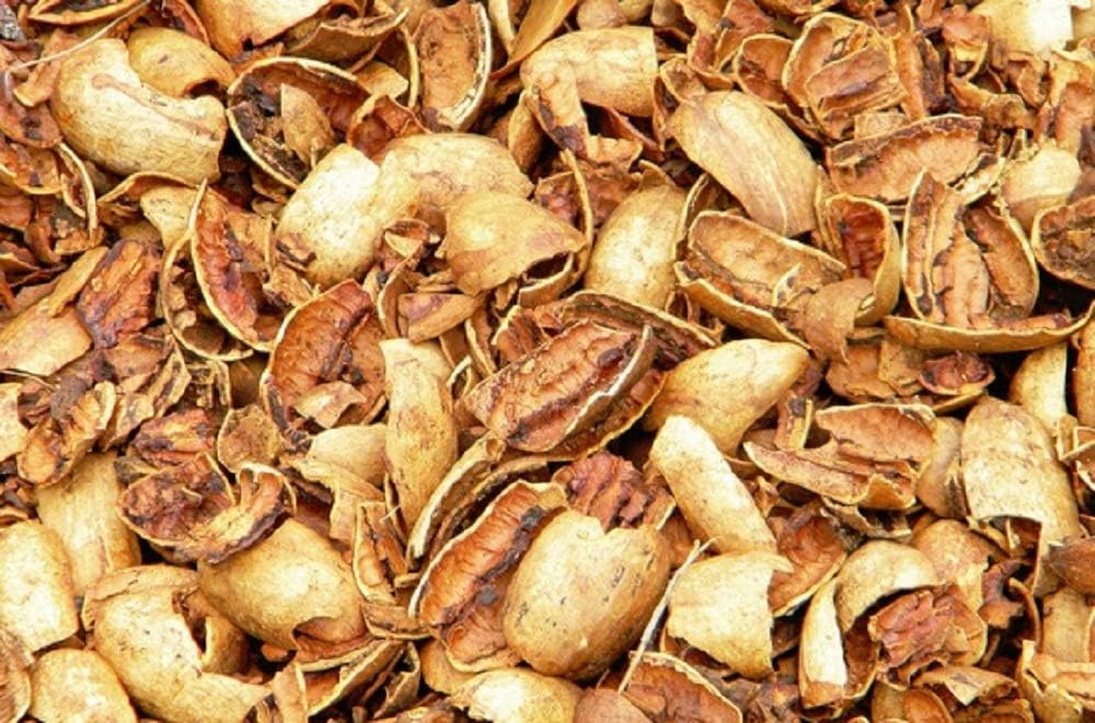 Pecan Shells (Shells only) | 20 lb Box | BBQ/Smoker - Gardening | Millican Pecan | San Saba, Texas