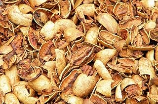 Pecan Shells (Shells only) | 20 lb Box | BBQ/Smoker - Gardening | Millican Pecan | San Saba, Texas