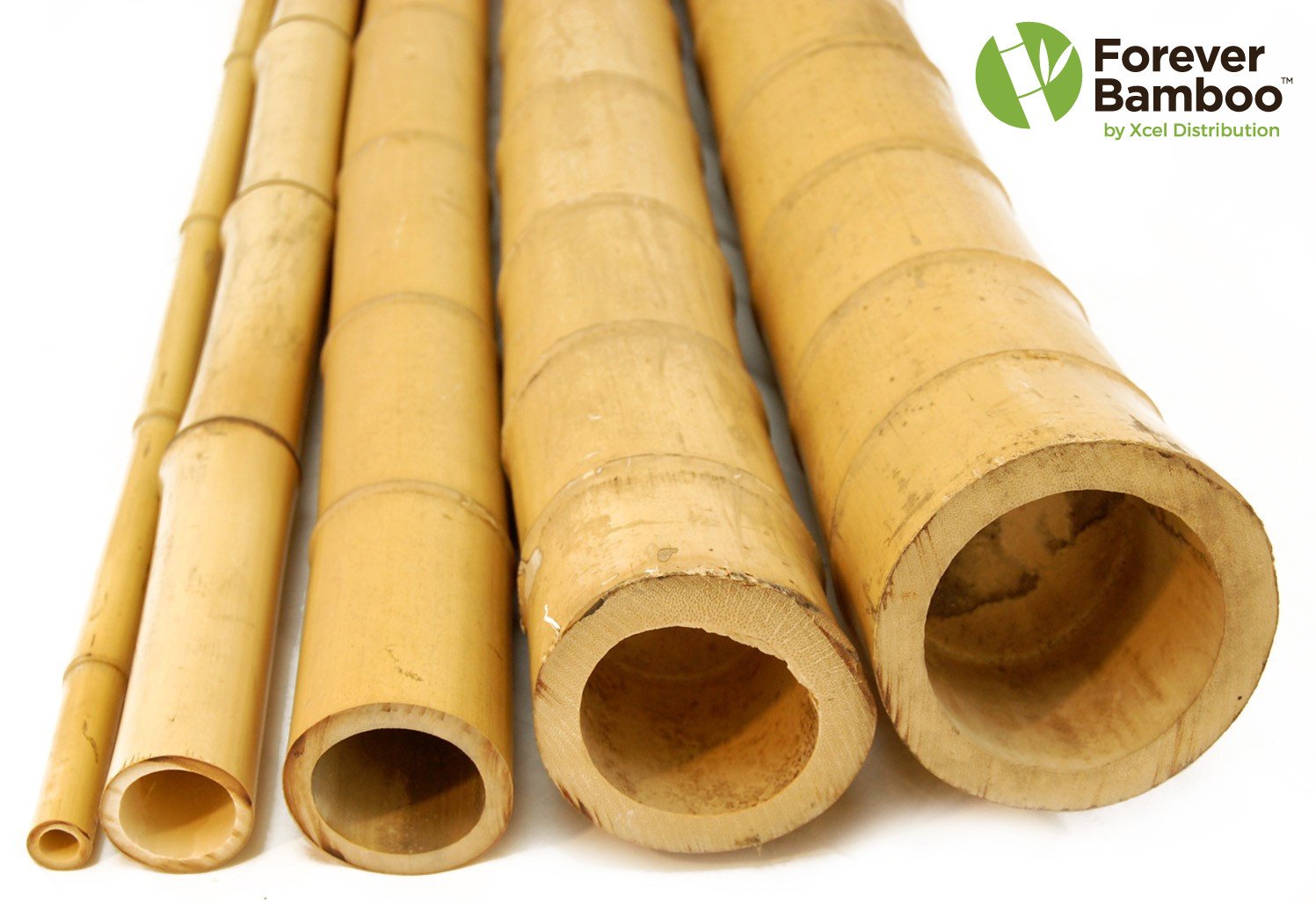 FOREVER BAMBOO Natural Decorative Bamboo Poles for Fences Garden Stakes