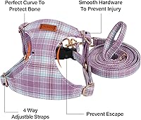 Vista 7 de CHEDE No Pull Floral Pattern Dog Harness - Lightweight and Soft, Adjustable Small Dog Harness Set with Leash, Suitable for Puppy to Medium-Sized Dog