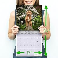 Vista 1190 de Razas de Perros 2017