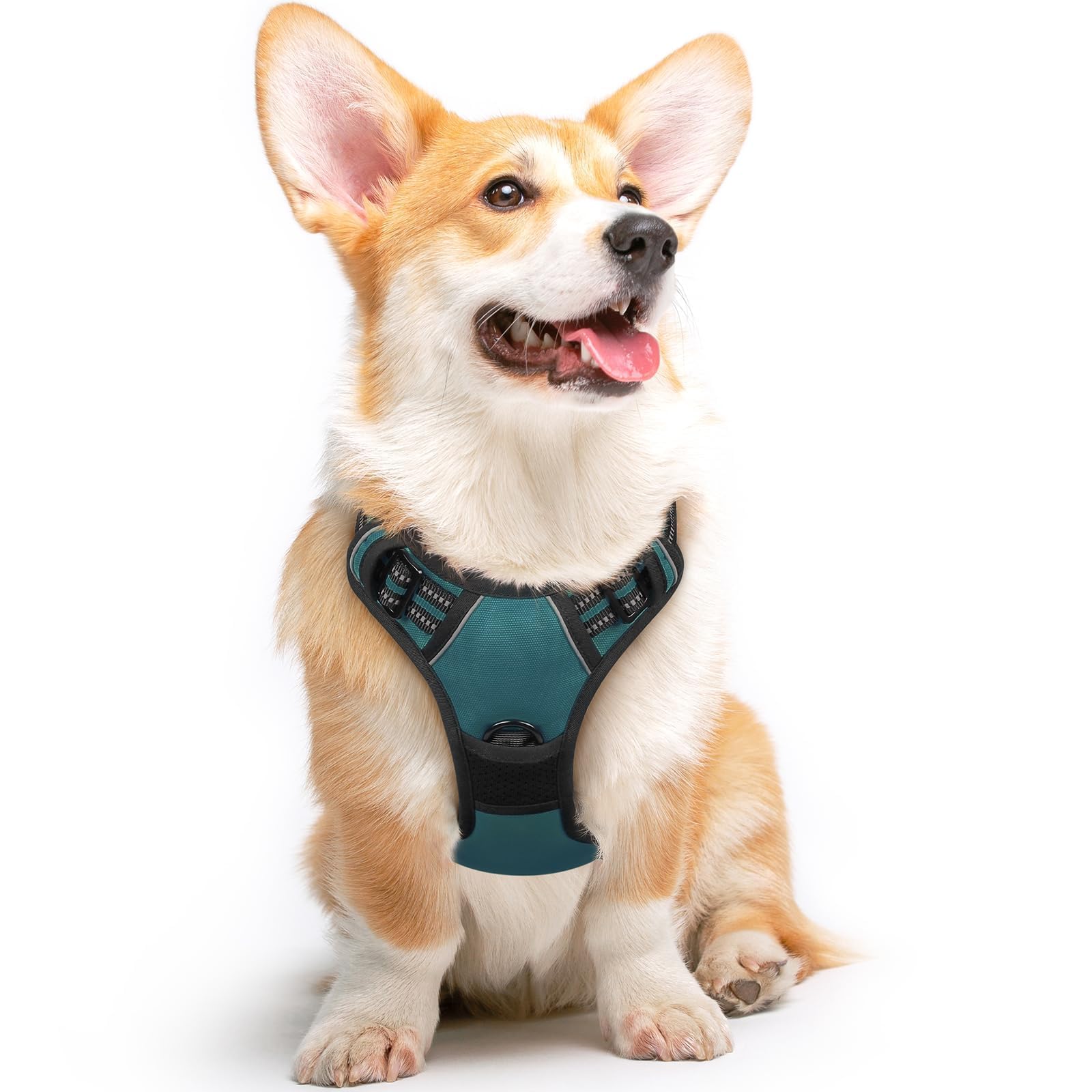 Eagloo Pettorina Cane Taglia Media, Pettorina ad h Antifuga, Imbracatura per Cani Anti Tiro con Doppio Gancio, Imbracatura Robusto e Regolabile per Addestramento Passeggiate, M, Verde Scuro