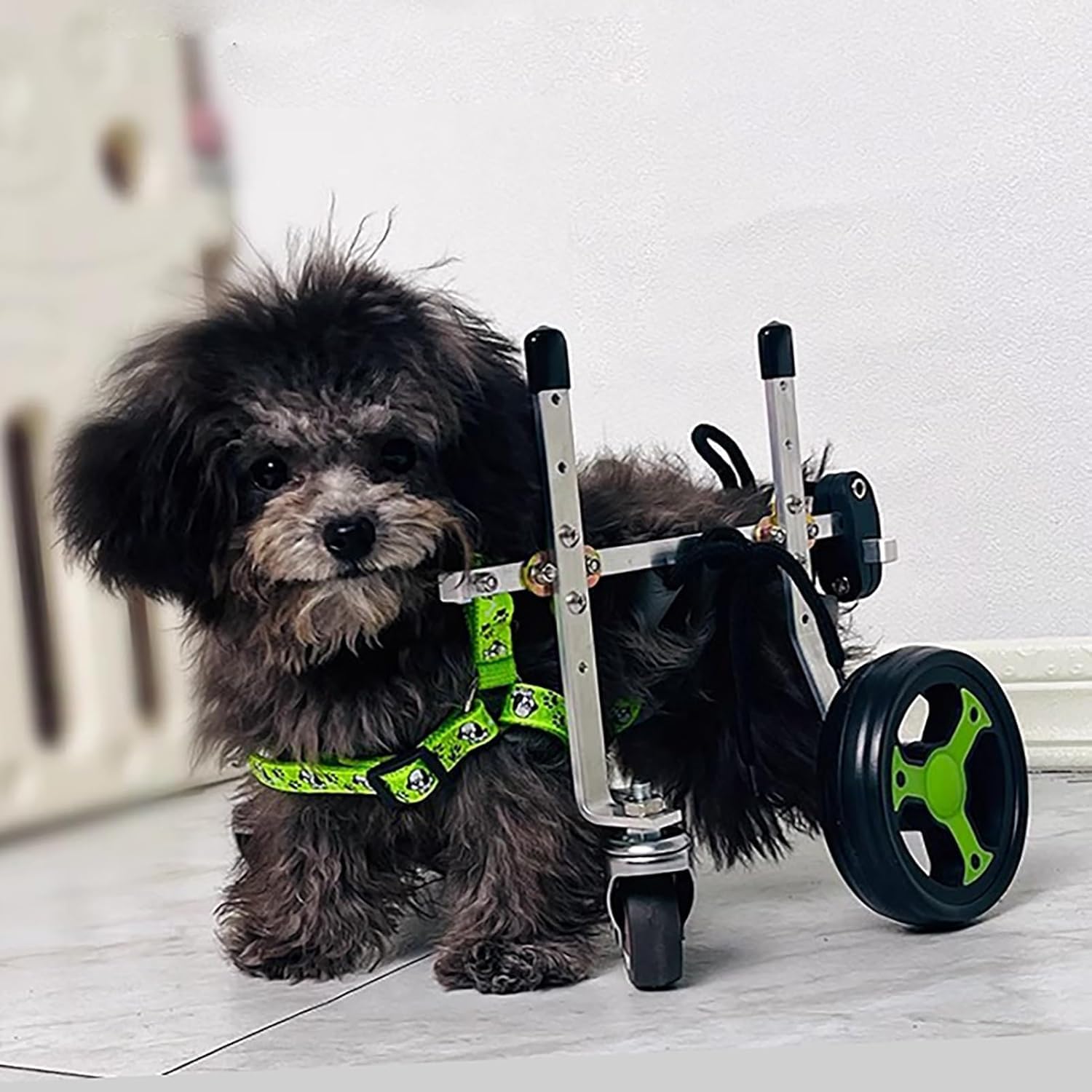 Silla de ruedas para perros extra pequeños con soporte metálico de 4 ruedas para movilidad