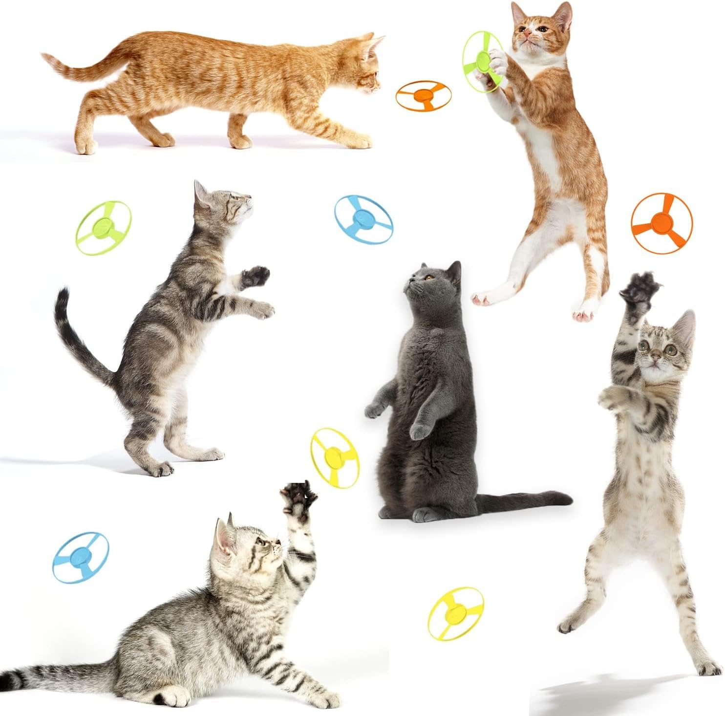 LAPOHI 14 PCS Cat Fetch Toy with Colorful Flying Propellers Set, Cat Playing Tracking Interactive Toys for Kitten Chasing Training Hunting