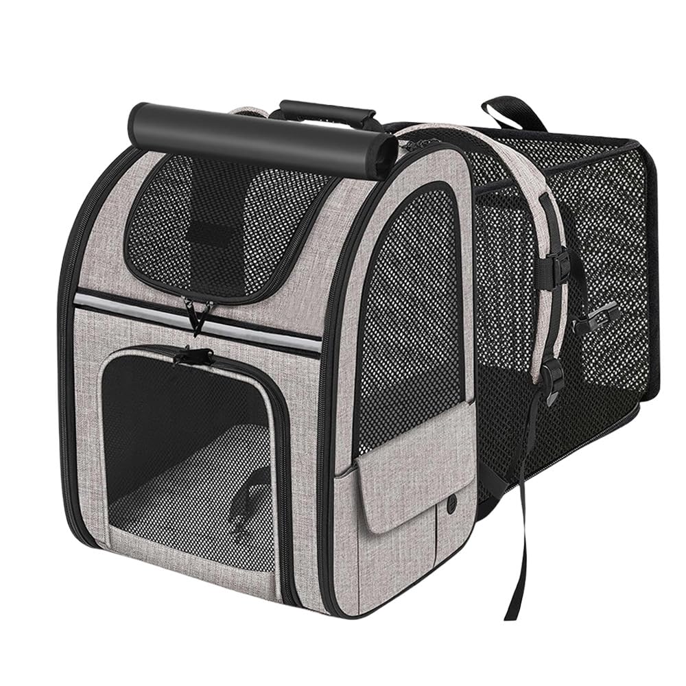 Sac Transport Chat,Sac à Dos Extensible pour Chat pour Chien jusqu'à 8 kg-avec Laisse de sécurité intérieure et Tapis pour Animaux de Compagnie-Sac de Transport pour Chat (Max.8KG)