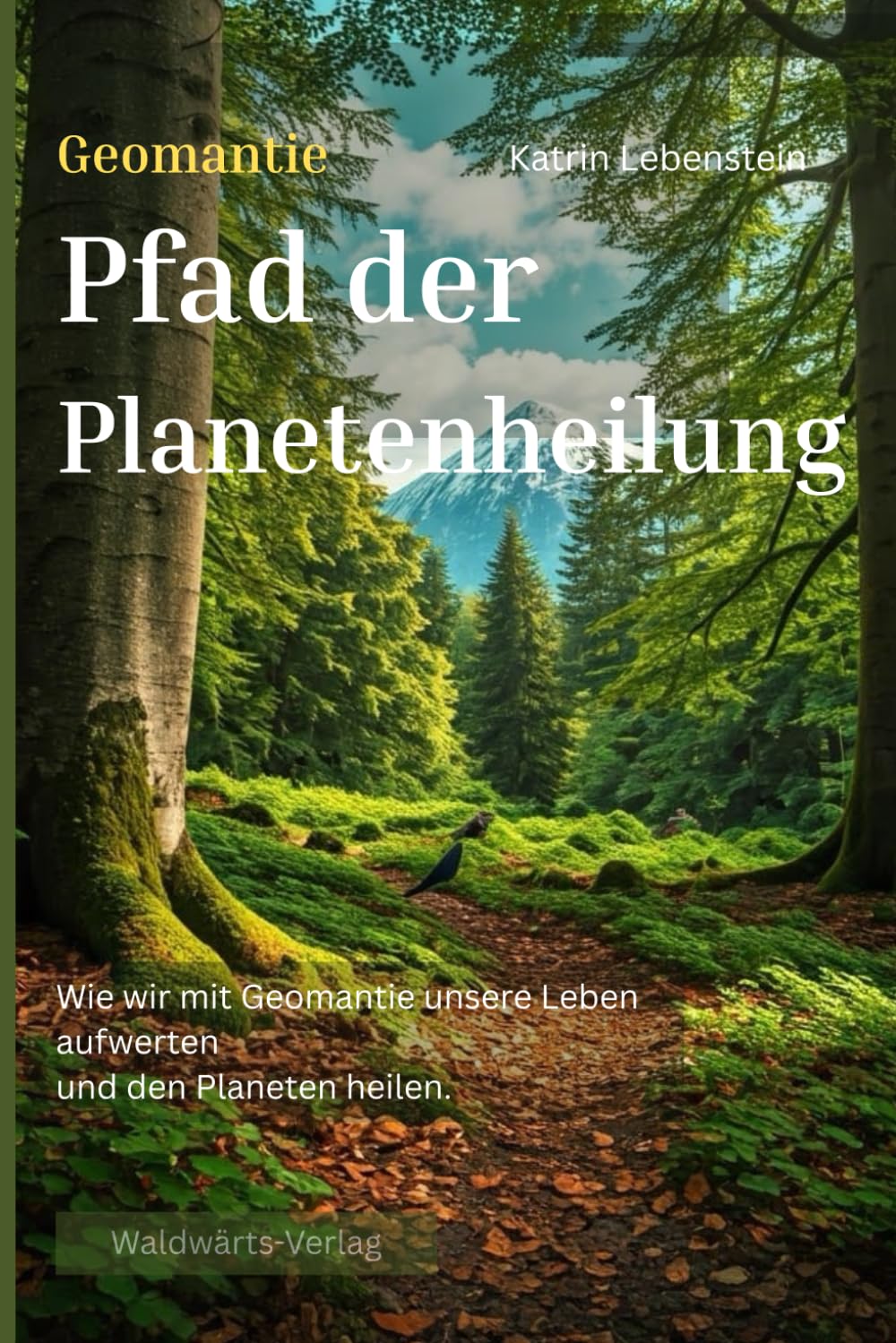 Geomantie - Pfad der Planetenheilung: Wie wir mit Geomantie unsere Leben aufwerten und den Planeten heilen