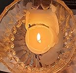 Review Image by L. P. Carvajal