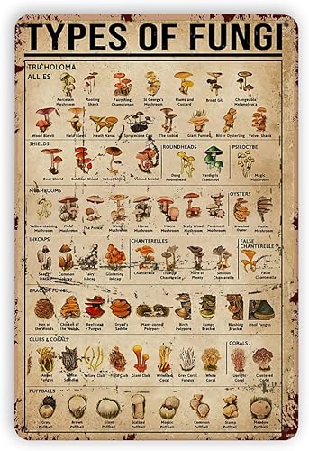 Dectinsign Letreros de metal de hojalata con hongos, decoración de pared, tipos de hongos, conocimiento de hongos, decoración de hojalata, póster de