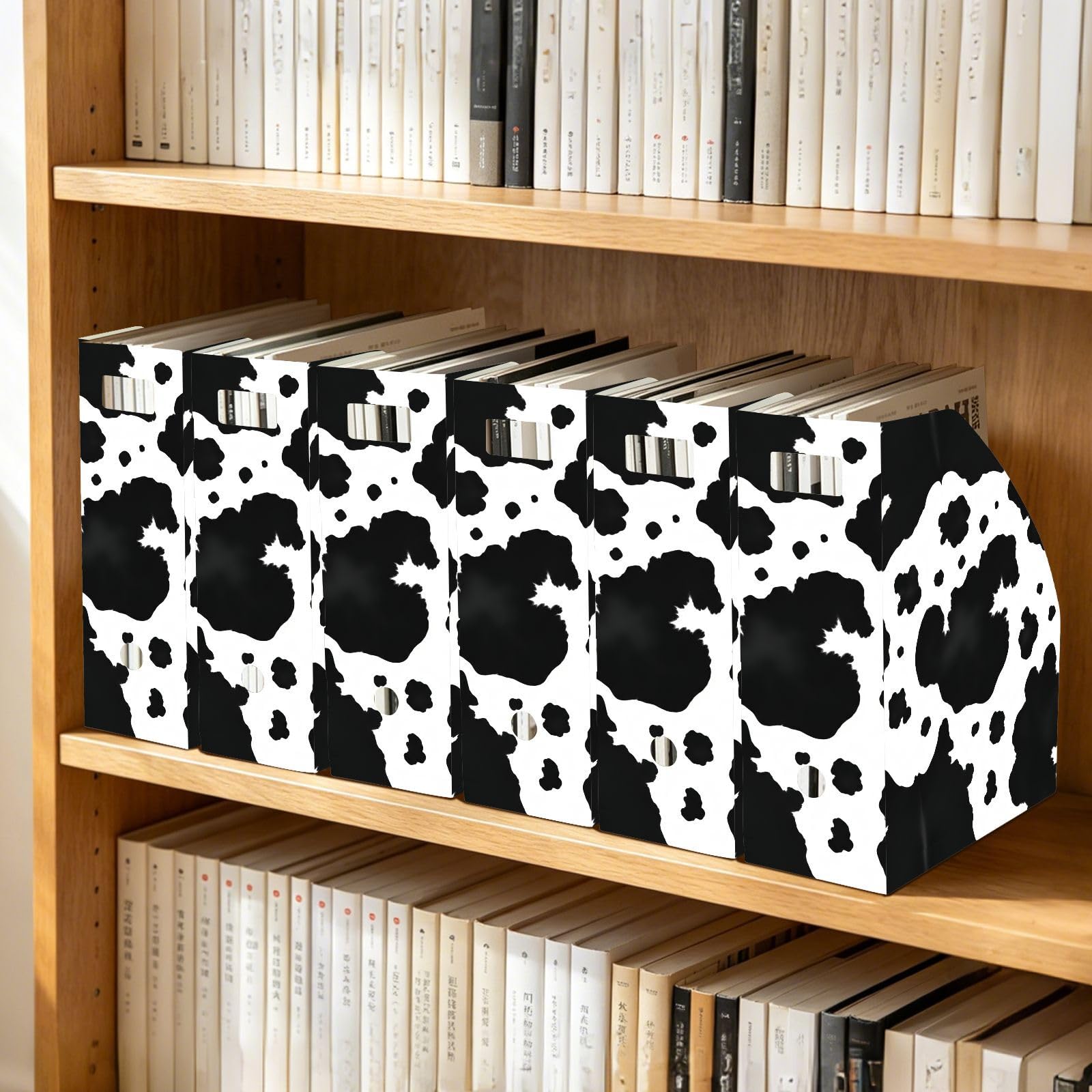 Cartone animato Spot Nero Portariviste File Holder per Classroom