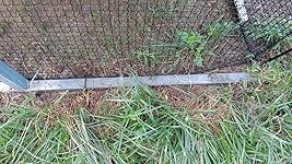 Review Image by Bryan Bryan