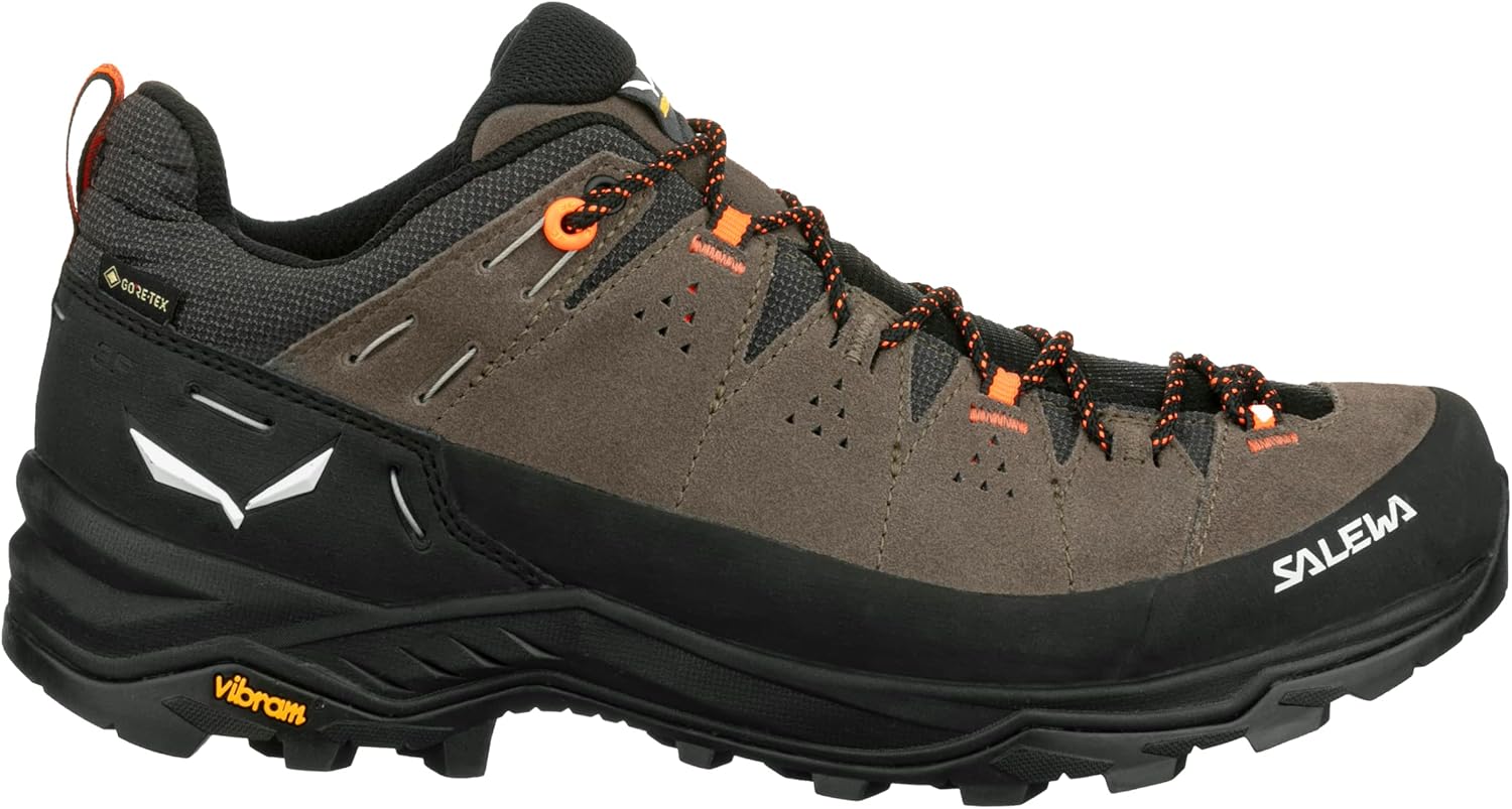 Salewa Men's Alp Trainer 2 Gore-Tex Waterproof GTX Hiking Shoe