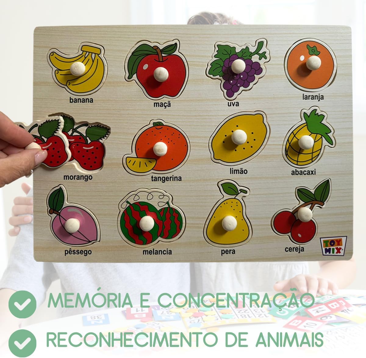 Encaixe Divertido C/Pinos