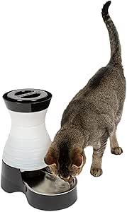 PetSafe Healthy Pet Water Station - Small, 64 oz Capacity, Gravity Cat &amp; Dog Waterer, Removable Stainless Steel Bowl Resists Corrosion &amp; Stains, Easy to Fill, Filter Compatible