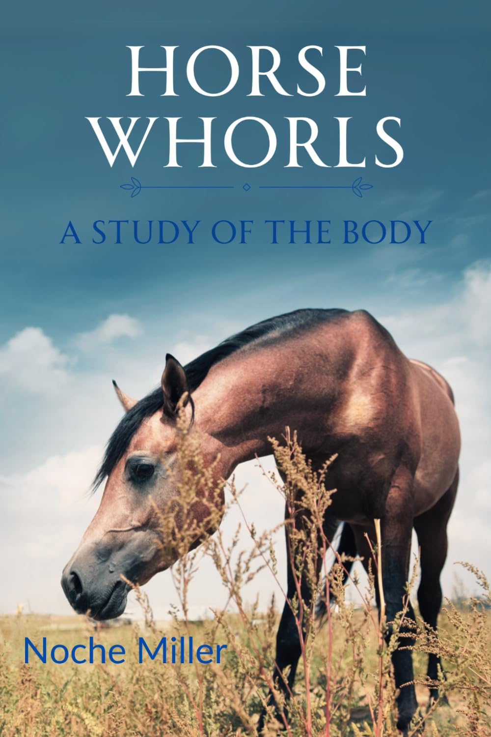 Horse Whorls: A Study Of The Body      Paperback – June 26, 2025
