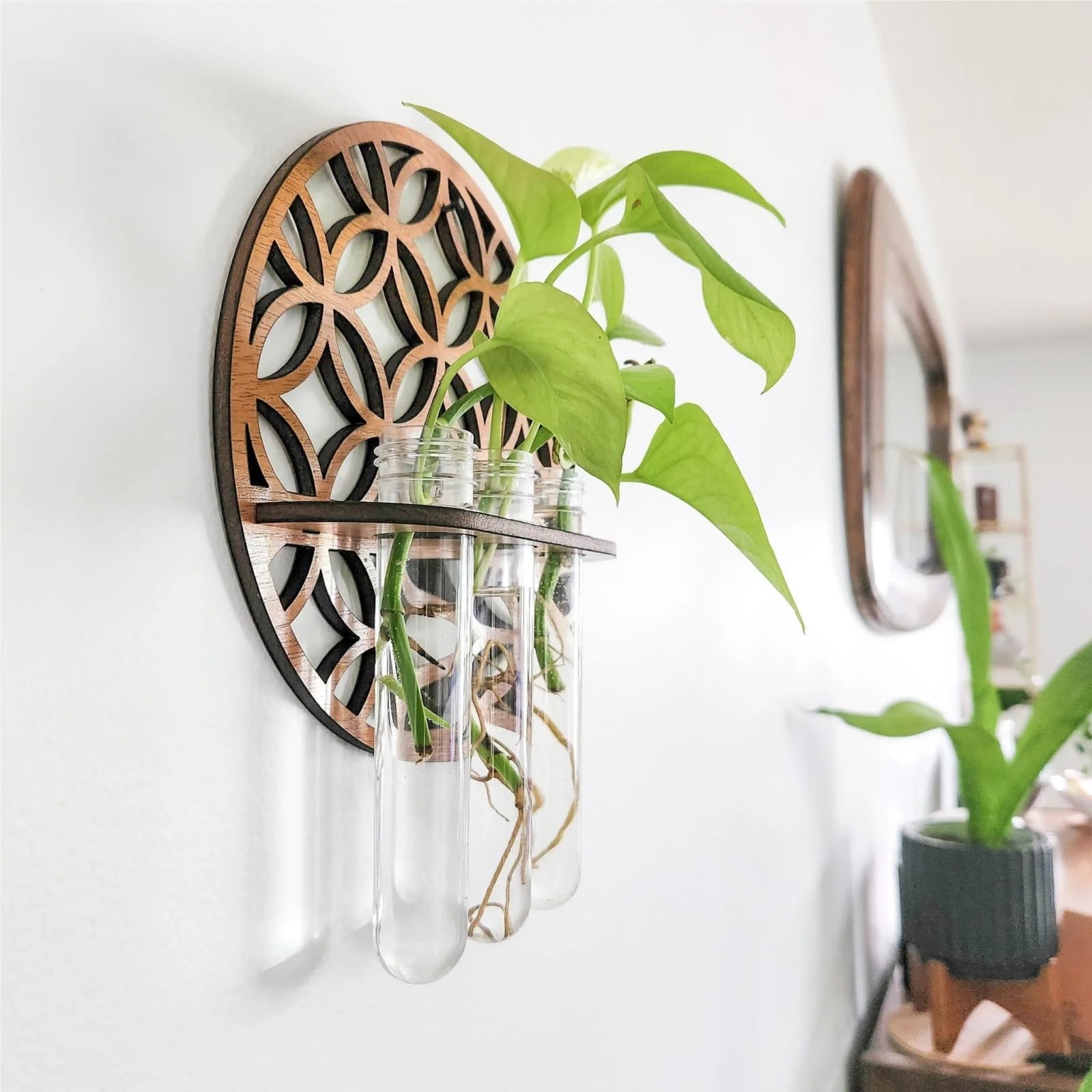 Wandvase Wandpflanzgefäße, 3 Reagenzgläser, Vermehrungsstation | Zimmerpflanzen Home Office Pflanzenaufhänger Blumenvasen