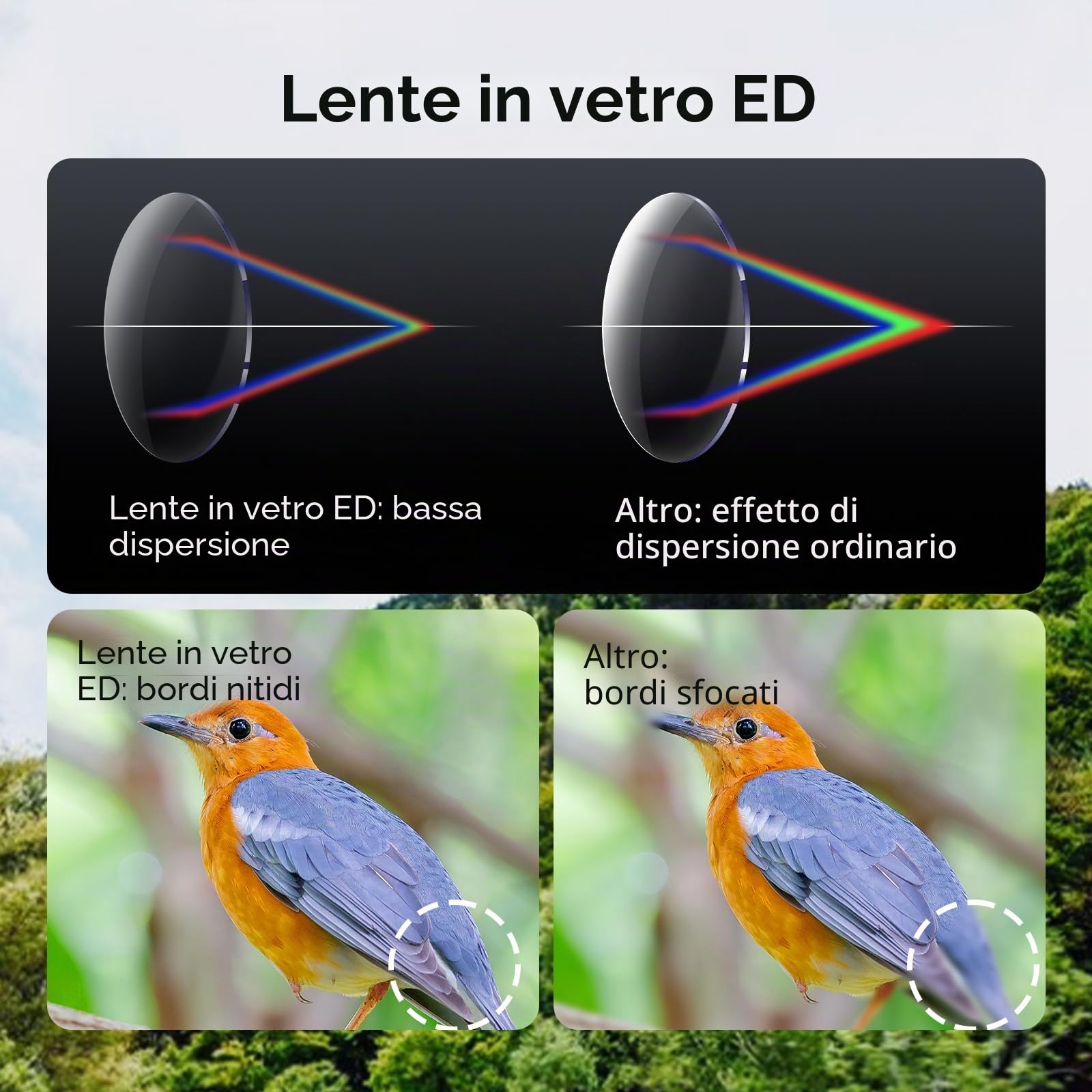 SVBONY Binocolo SV202 8x42 ED, binocolo con lenti a dispersione extra-bassa per birdwatching, BAK4 e FMC Optic System, ampio angolo di visione, impermeabile IPX7 per uso in tutte le condizioni