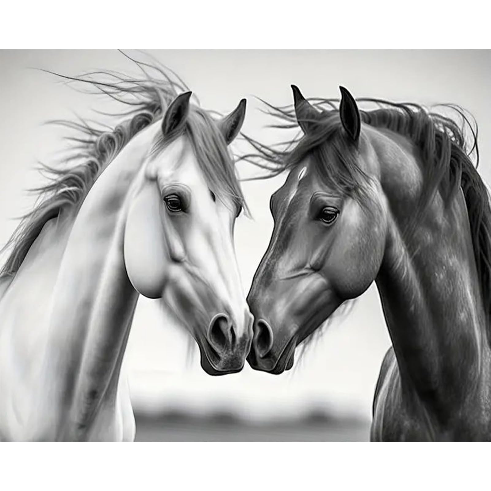 JATOK Malen Nach Zahlen Erwachsene, Paint by Numbers Malen Nach Zahlen, DIY Pferd mit Pinseln und Acrylfarben Handgemalt Ölgemälde Leinwand für Home Decor, Ohne Rahmen (40x50cm/16x20in)
