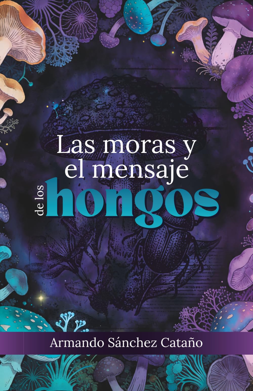 Las moras y el mensaje de los hongos